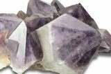 Deep Purple Amethyst Crystal Cluster With Huge Crystals #250742-4